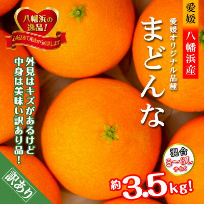 2025年11月発送開始 ぷるぷる食感!「 まどんな 」約3.5 キロ【 訳あり 】【D39-44】_ 訳アリ わけあり みかん ミカン 蜜柑 柑橘 柑橘類 人気 美味しい 愛媛県 八幡浜市 ふるさと フルーツ 果物 くだもの 【配送不可地域:離島】【1419628】
