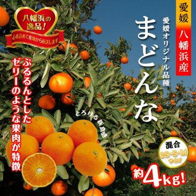 2025年11月発送開始 ぷるぷる新食感「マドンナ」約4kg 【D39-31】_ みかん 蜜柑 ミカン まどんな ゼリー のような食感 柑橘 かんきつ 愛媛 国産 送料無料 フルーツ 果物 くだもの 箱 小玉 愛媛みかん 【1149494】
