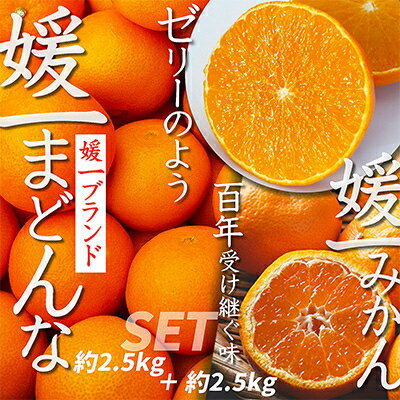 【2025年11月以降発送】「媛一みかん」と「媛一まどんな」の2品種・約5kg【C28-29】_ みかん ミカン マドンナ 紅まどんな同品種 柑橘 柑橘類 フルーツ 果物 くだもの 人気 美味しい 愛媛県 八幡浜 ふるさと 【1119673】