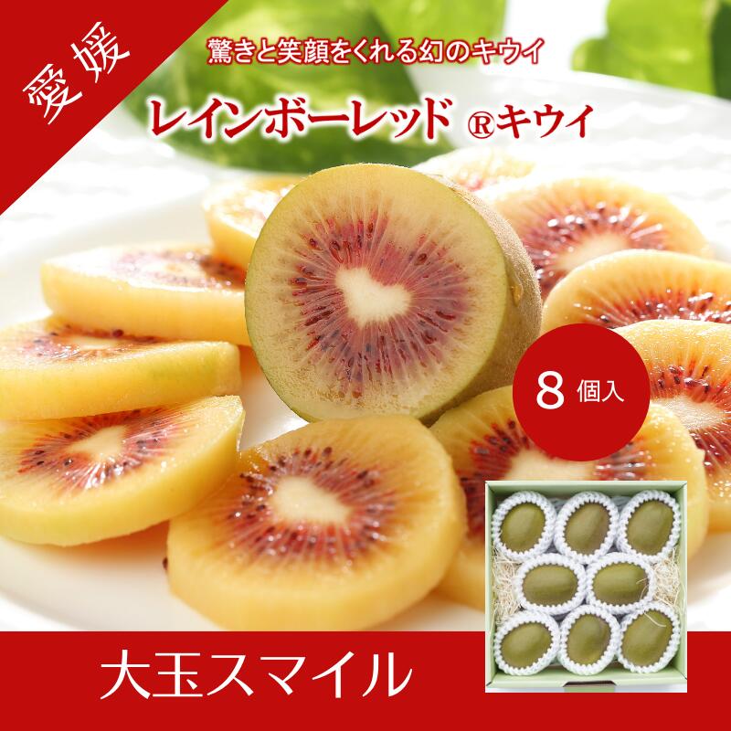 予約受付 キウイ <スマイルレインボー 8個入>※2025年11月下旬~12月中旬迄に順次出荷します。 (1玉90〜119g)レインボーレッドキウイ 希少キウイ 酸味が少ない 味が濃い スーパーフルーツ 豊富な栄養素 食物繊維 大玉 果物 輝らり果樹園 【常温】