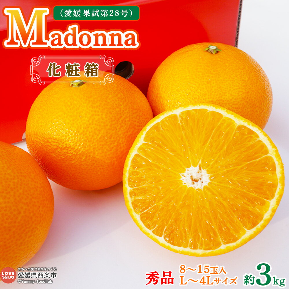 予約受付 まどんな <Madonna(愛媛果試第28号) 約3kg 化粧箱 秀品(L~4Lサイズ 8~15玉入)> ※2025年12月初旬から2026年1月中旬迄に順次出荷します。マドンナ 柑橘 果物 フルーツ みかん ミカン ギフト 贈答用 贈り物 鴻上農園 愛媛県 西条市 【常温】