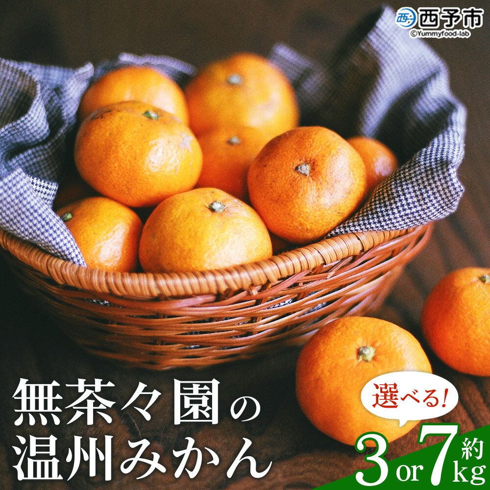 先行予約 <無茶々園 温州みかん 約3kg/7kg> 果物 くだもの ミカン 蜜柑 柑橘 フルーツ うんしゅうみかん 選べる内容量 贈り物 ギフト おいしい 期間限定 季節限定 食べて応援 特産品 愛媛県 西予市 【常温】『2025年11月~12月に順次出荷予定』