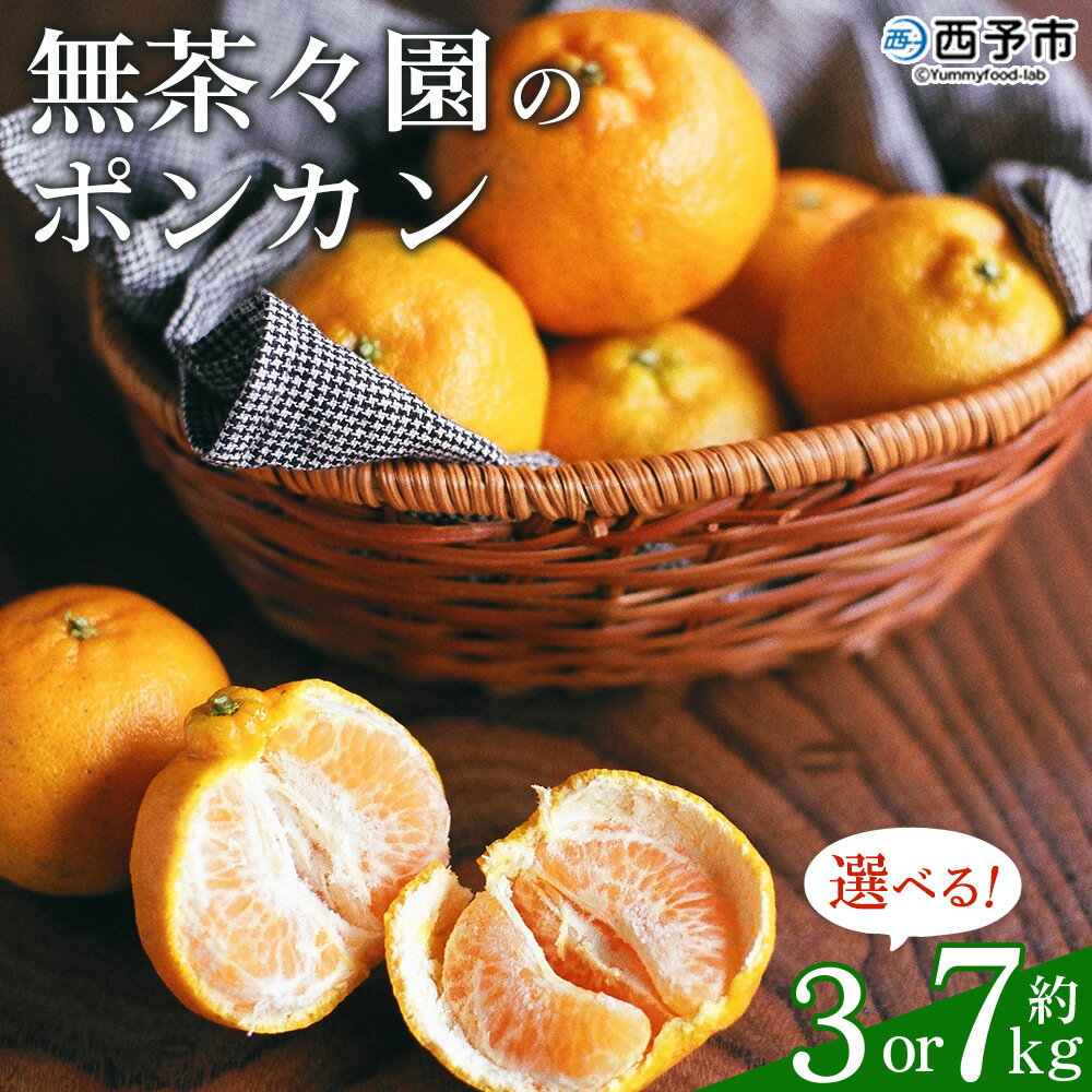 先行予約 <無茶々園のポンカン 約3kg/7kg> 果物 くだもの フルーツ 選べる内容量 ぽんかん みかん 蜜柑 柑橘類 かんきつ 旬 甘い 濃厚 新鮮 期間限定 季節限定 産地直送 特産品 愛媛県 西予市 【常温】『2026年1月~2月に順次出荷予定』