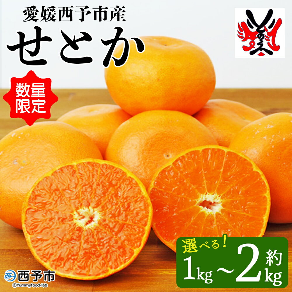 数量限定<愛媛西予市産 せとか 約1kg/2kg> 果物 くだもの フルーツ 柑橘類 ミカン みかん 甘い 特産品 糖度 家庭用 自宅用 産地直送 渡江から一歩を踏み出す会 食べて応援 愛媛県 西予市 【常温】『2026年3月上旬~3月下旬順次発送予定』