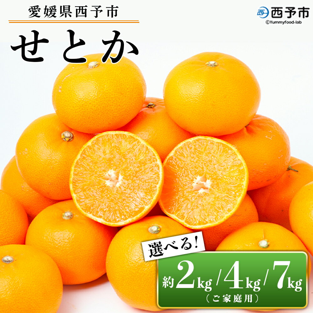 先行予約<愛媛県西予市産 せとか ご家庭用 約2kg/4kg/7kg> 訳あり 不揃い 傷 果物 フルーツ みかん ミカン 蜜柑 セトカ オレンジ 柑橘類 選べる 甘い 期間限定 食べて応援 特産品 宇都宮物産 【常温】『2026年2月下旬~4月上旬迄に順次出荷予定』