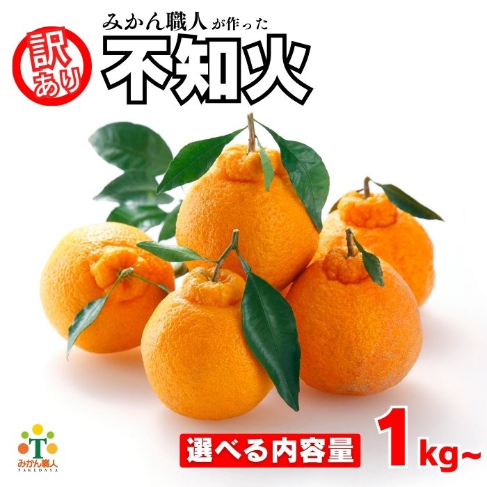 選べる内容量 先行受付 訳あり 不知火 1kg 3kg 5kg 【発送期間:2025年2月上旬〜なくなり次第終了 】 しらぬい かんきつ 柑橘 みかん 蜜柑 でこぽん おやつ きず 傷 ふぞろい 不揃いフルーツ 果物 くだもの 果実 愛媛県 愛南町 みかん職人武田屋