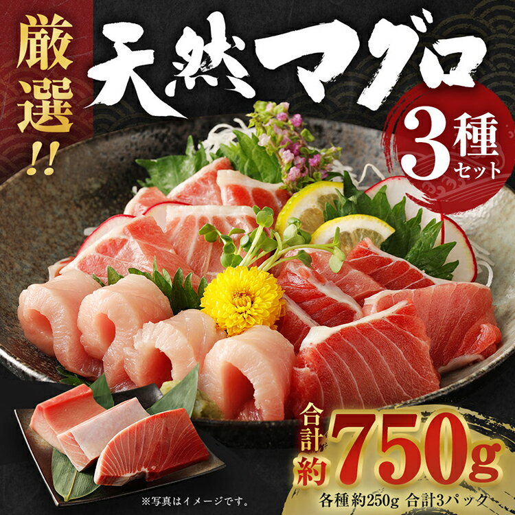 厳選 天然 マグロ 3種 750g以上 | 南鮪250g メバチ鮪250g ビンチョウ鮪250g 南 目鉢 鬢長 セット まぐろ 食べ比べ みなみ めばち びんちょう まぐろ 刺身 さしみ 刺し身 ユッケ 冷凍 漬け 海鮮 丼 人気 訳あり ワケアリ 小分け サク ブロック 高知県 室戸市