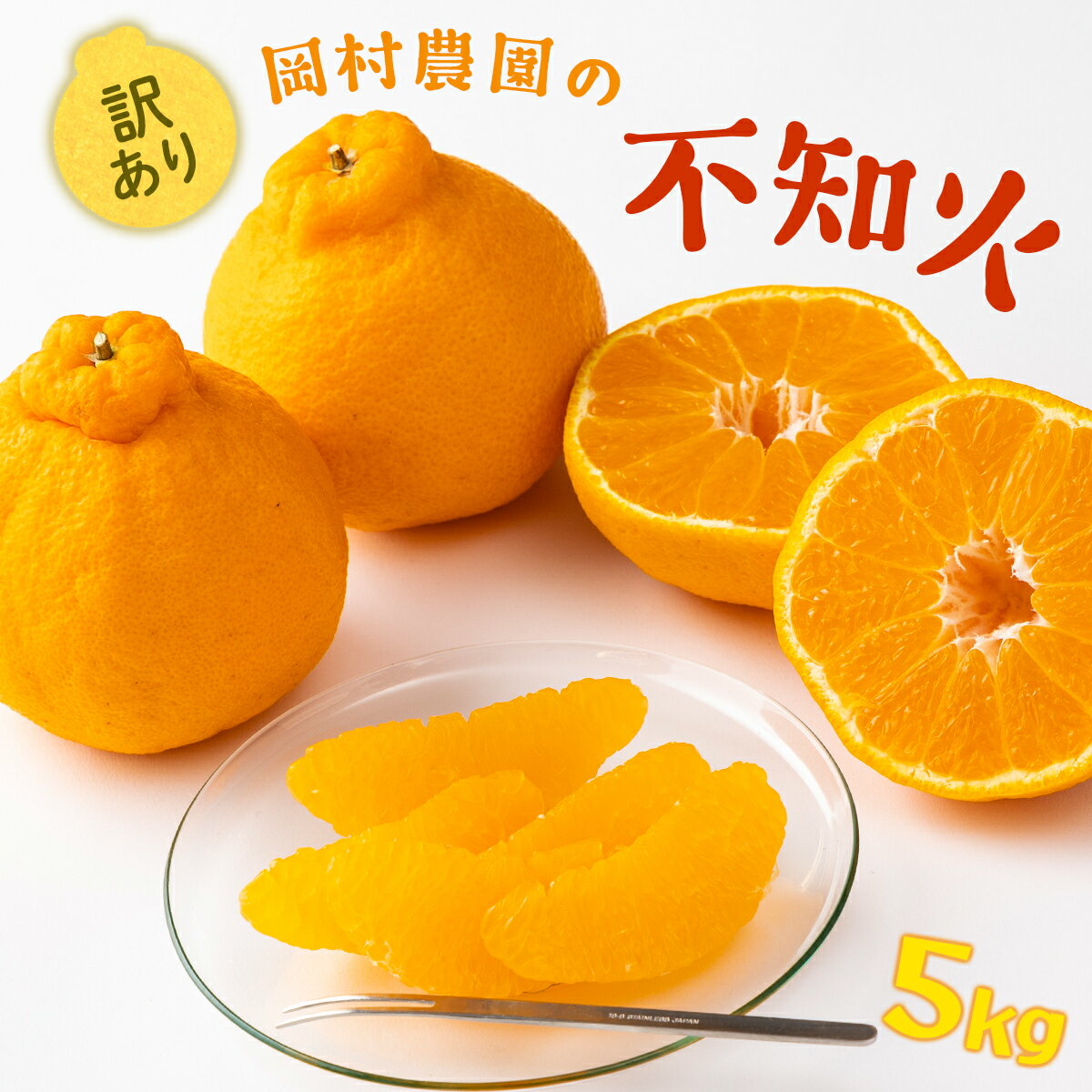 【先行予約】 【訳あり】 岡村農園の不知火 5kg 15〜23玉程度 不知火 しらぬい 果物 フルーツ 柑橘 みかん ミカン 傷あり 不揃い 大小混合 ご家庭用 農家直送 期間限定 数量限定 高知県 室戸市