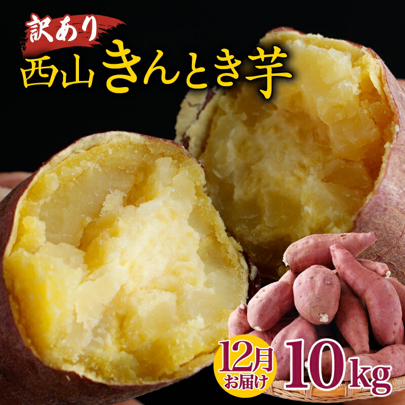 【令和7年12月お届け】 西山きんとき芋 10kg | さつまいも 芋 サツマイモ 訳あり わけあり 産地直送 さつま芋 人気 ランキング おすすめ 金時芋 焼き芋 野菜 故郷納税 先行予約 高知県 室戸市