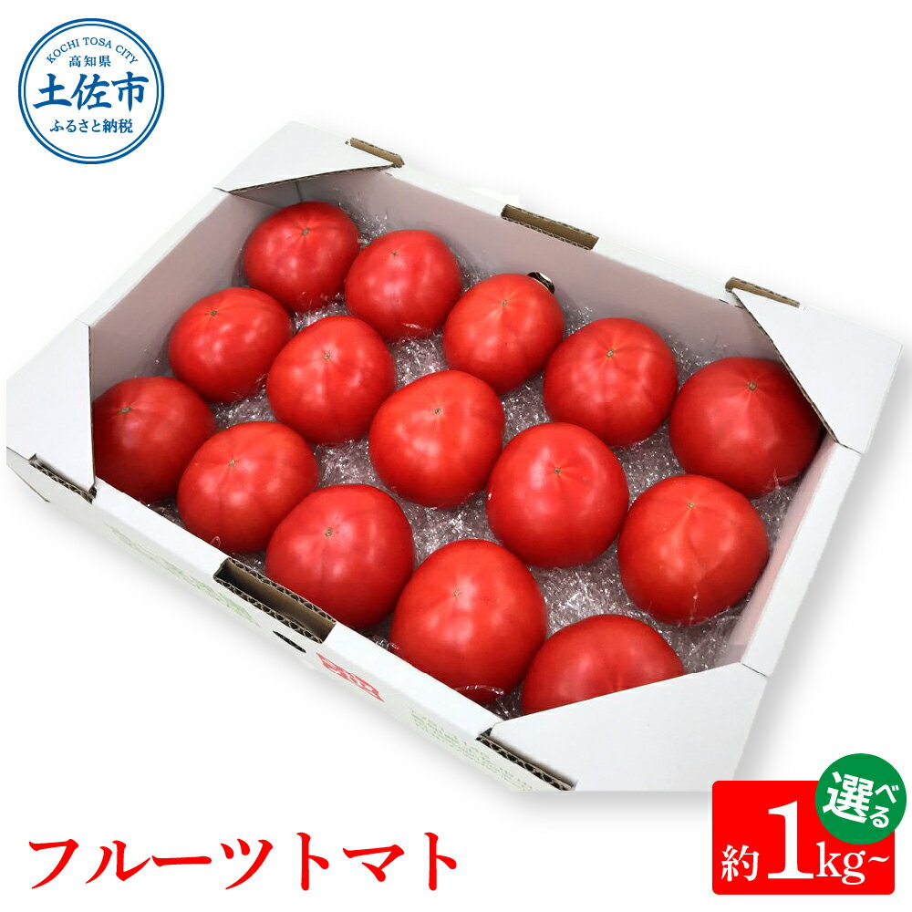 フルーツトマト トマト 10000円台 とまと ふるーつとまと 1kg 2kg 3kg 8000円 12000円 16000円 糖度 8~10度 詰め合わせ 野菜 産地直送 甘い 濃厚 美味しい 箱詰め まとめ買い 料理 サラダ 旬 新鮮 食品 健康 高知県 土佐市 返礼品 故郷納税 返礼品