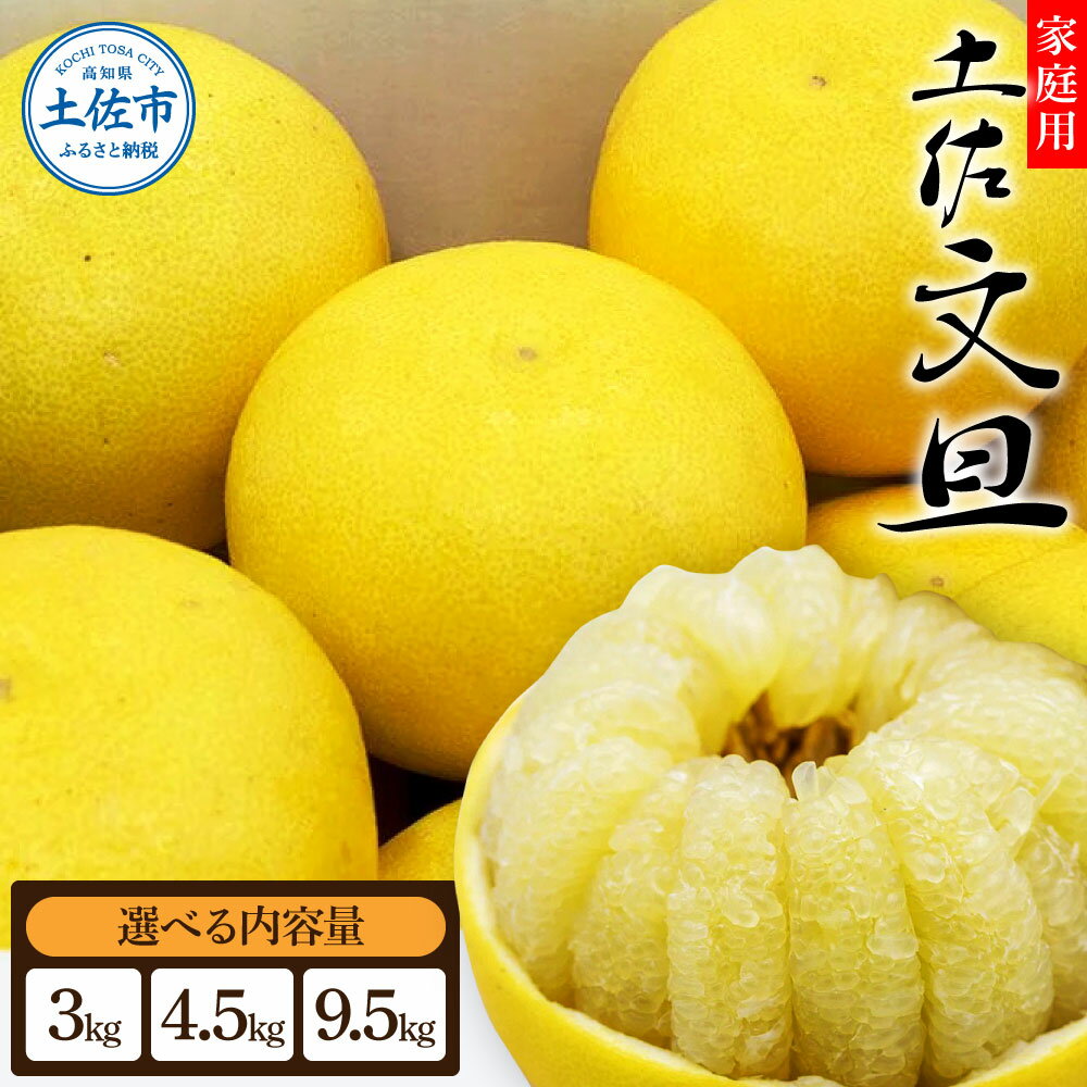 【先行予約】【2026年1月下旬より発送】 土佐文旦 7000円 9000円 16000円【サイズ混合2L~4L】選べる 3.0kg/4.5kg/9.5kg 生産者直送 家庭用 文旦 常温 柑橘 みかん フルーツ 果物 産地直送 お取り寄せ 人気 美味しい ふるさと納税 送料無料 t土佐市 返礼品