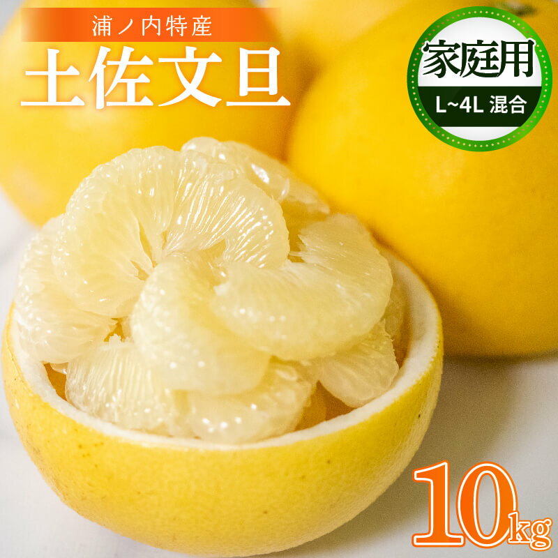 【早期予約開始!!2026年2月頃より順次発送】 【訳あり】 浦ノ内特産 家庭用 土佐文旦 10kg | みかん 蜜柑 柑橘 文旦 10キロ 明神果樹園 人気 ランキング 数量限定 期間限定 高知県 須崎市 ふるさと納税果物 MKJ003_xx