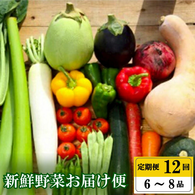 【早期予約】 全 12回 12ヶ月 定期便 季節 旬の 野菜 6 ~ 8品 詰め合わせ セット 年末年始限定 早期予約 期間限定 高知県 須崎市人気 ランキング 食品 お楽しみ バラエティ おすすめ