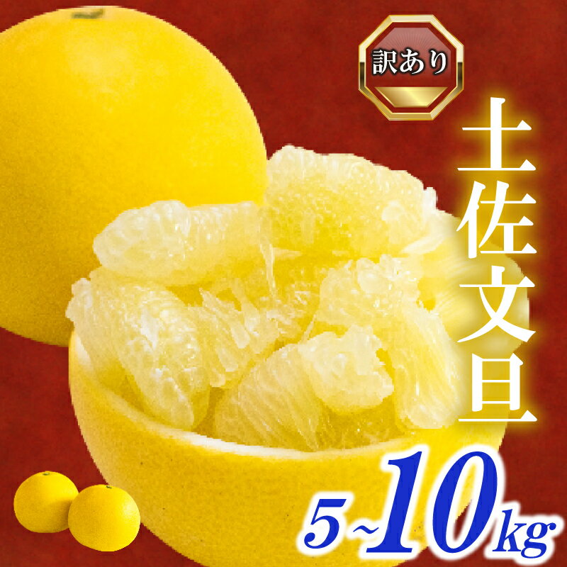訳あり 文旦 5kg 10kg 2026年2月より発送 家庭用 早期予約 土佐文旦 みかん 柑橘 フルーツ 早期 予約 季節限定 期間限定 高知県 須崎市 産地直送 こだわり文旦 ぶんたん