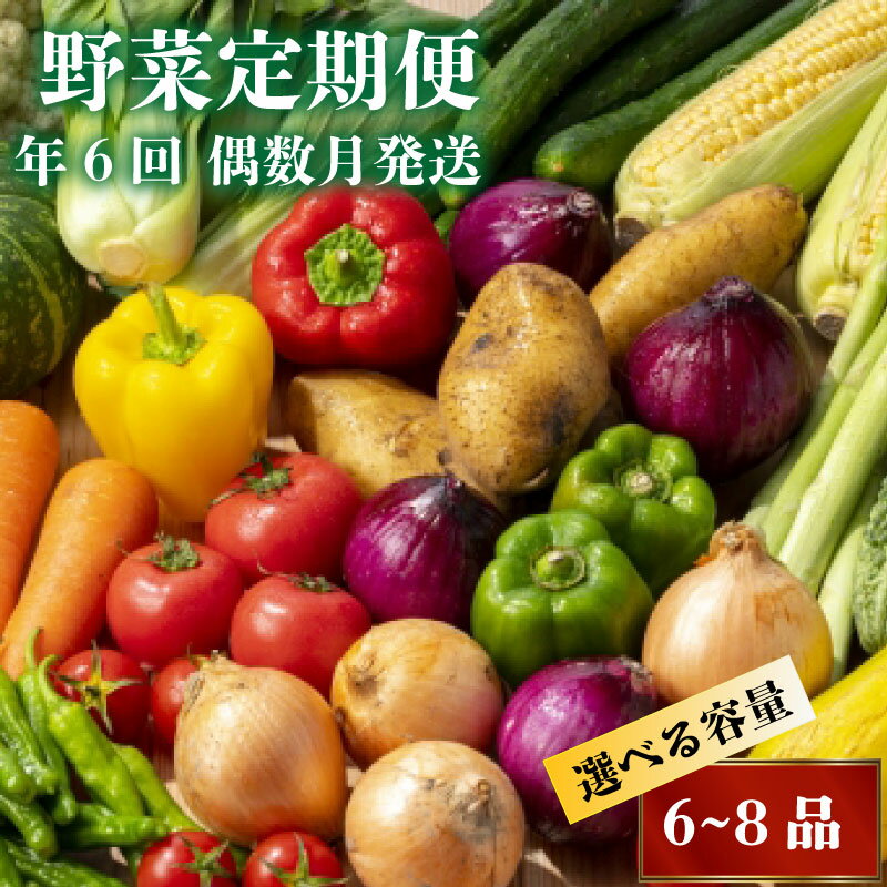 【早期予約】新鮮お野菜定期便 年 6回 偶数月発送 【2026年2月より順次発送】 旬 野菜 詰め合わせ セット やさい 送料無料 人気 ふるさと納税 野菜 ふるさと納税 定期便 ふるさと納税野菜 ふるさと納税定期便 食品 お楽しみ おすすめ 6ヶ月 旬 NK4000
