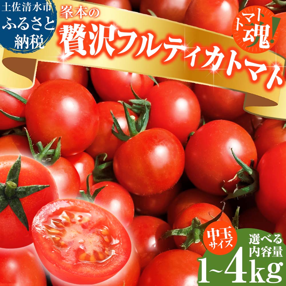 【令和7年11月発送】 ミニトマト フルーツトマト トマト 国産 中玉 サイズ 選べる 1kg 2kg 3kg 4kg プチトマト ミディトマト フルティカ フルティカトマト 新鮮 野菜 夏野菜 産地直送 高知 トマトジュース 5000円ちょうど 8000円 12000円 15000円【R01031】