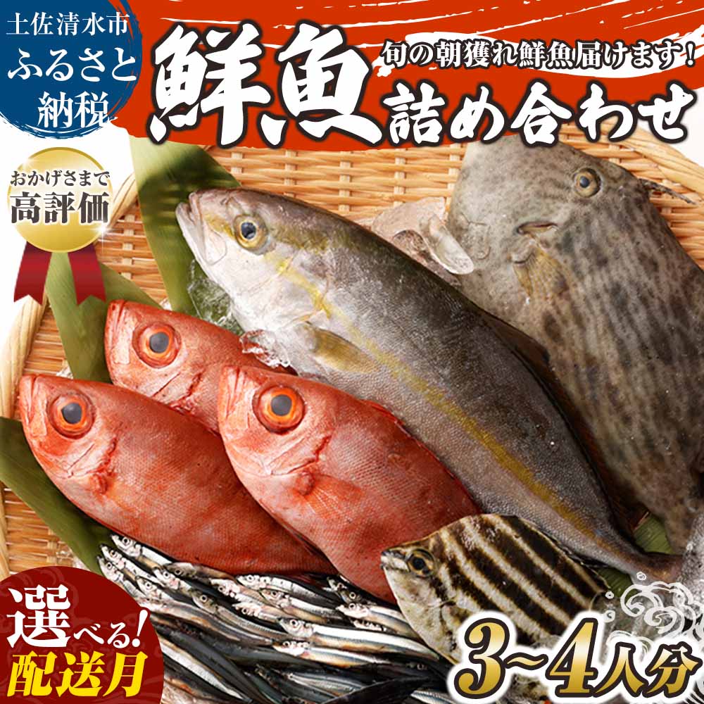 鮮魚 ボックス 詰め合わせ 年末配送 選べる発送月 配送月 朝獲れ 朝どれ 旬 3~4人分 魚介 海鮮 刺身 魚料理 まるごと 魚 生魚 さかな 専業主婦 高知 サバ タイ アジ カツオ カマス カンパチ セット おまかせ 産地直送 漁師直送 高知 13000円【S00818】