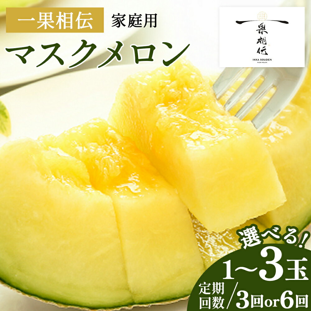 【年末配送可能】一果相伝 マスクメロン 家庭用 1玉/2玉/3玉 - 選べる 定期便 果物 フルーツ めろん 青肉 自宅用 ジューシー 果汁 至福 美味しい 甘い あまい 篤農 産地直送 年末発送 年内配送 高知県 香南市【常温】レビューキャンペーン実施中