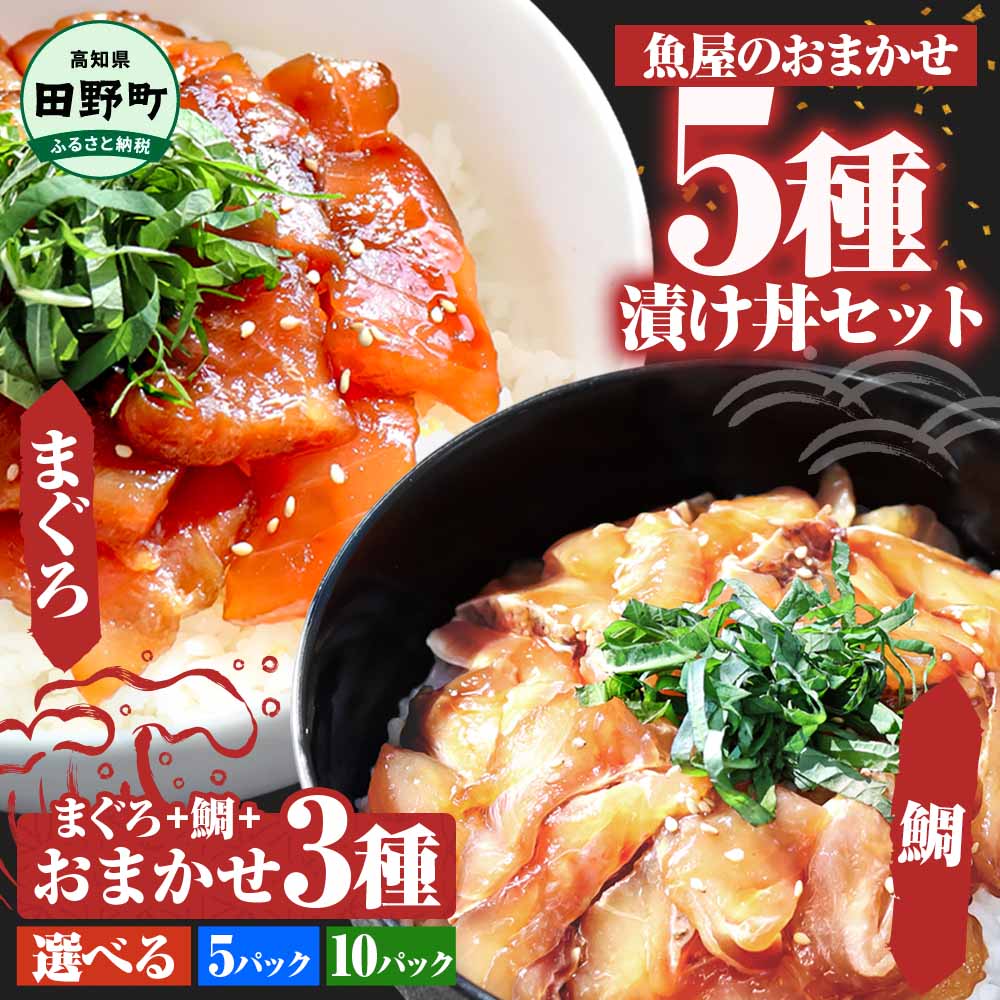訳あり 漬け丼 5種 80g×5P セット 6000円 10000円 おまかせセット マグロ 鯛 おまかせ3種 鮪 鯛 詰め合わせ 海鮮丼 海鮮丼の具 漬け どんぶり 丼 漬けマグロ 海鮮 漬け魚 個食 個包装 小分け 海鮮丼セット 冷凍 高知県 食べ比べ 保存食 一人暮らし 魚