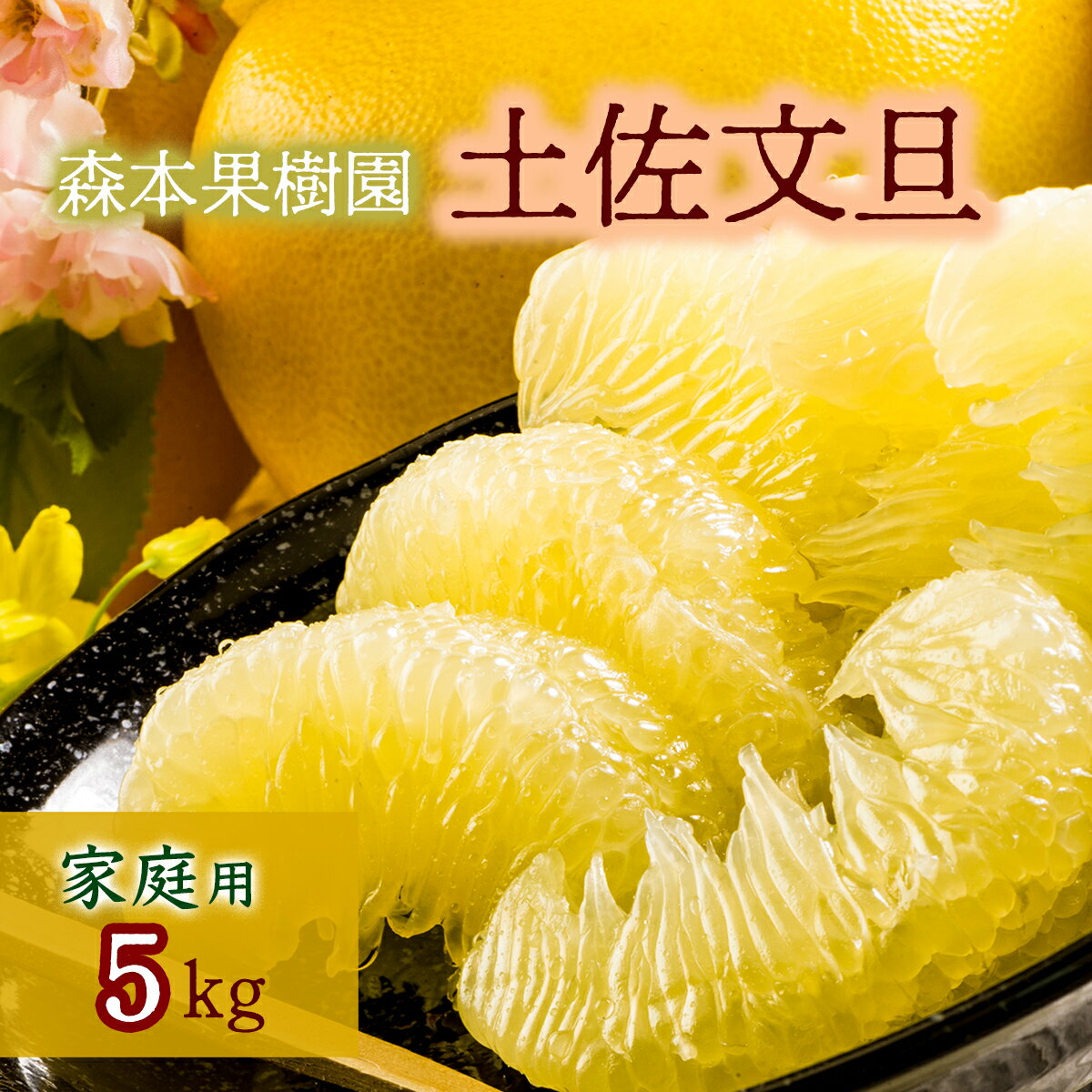土佐文旦家庭用5kg(森本果樹園)柑橘 フルーツ 高知産 産地直送 特産品 産地直送 送料無料 数量限定 美味しい おすすめ 3月