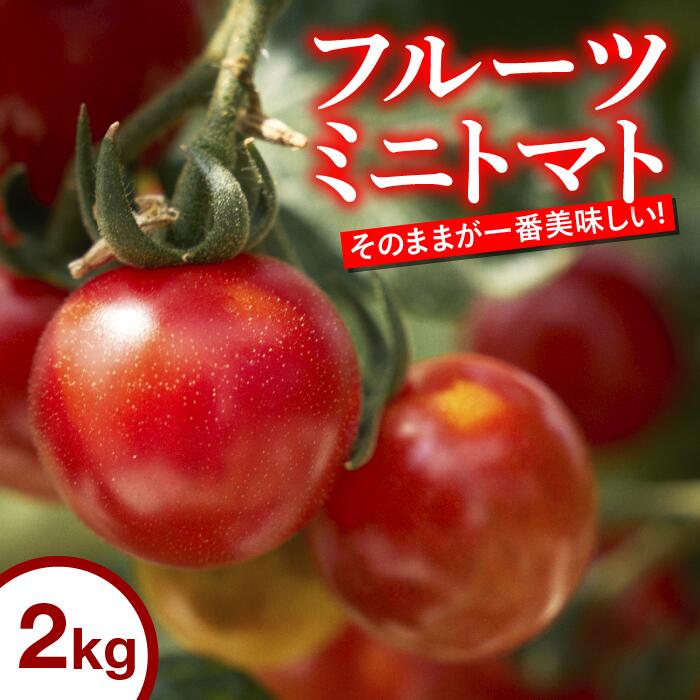 先行予約 トマト 高知 フルーツトマト ミニ 2kg 完熟 甘い 濃厚 野菜 人気 ふるーつとまと 甘い 濃厚 美味しい 箱詰め 糖度 高知 四万十川 まちだ農園 高糖度 定期便 ギフト おやつ プチ お弁当 季節限定