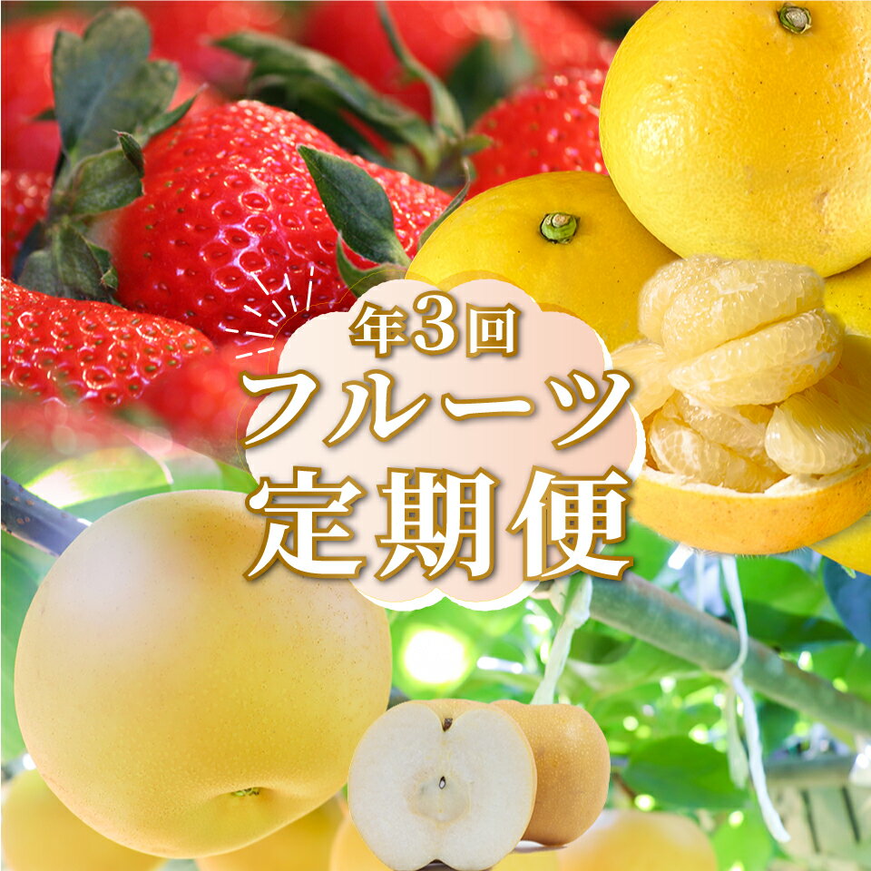 <フルーツ 定期便(全3回)> いちご 土佐文旦 梨 fruit 苺 おすすめ フレッシュ 旬 果物 くだもの 高知県 佐川町産【常温】【冷蔵】