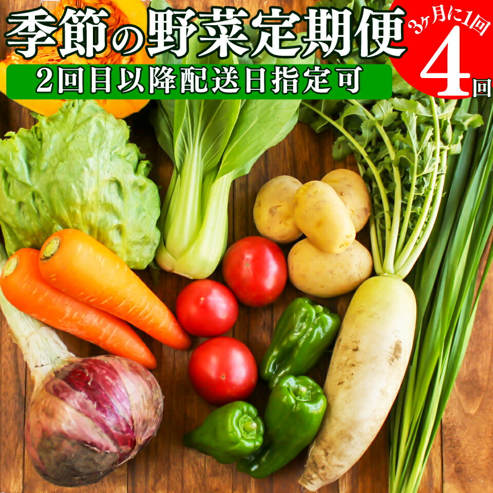 年4回発送!<南国高知から直送!旬の季節のお野菜定期便(7~9品)>高知県 佐川町 野菜セット 野菜便 詰め合わせ 旬の時期にお届け【冷蔵】3ヶ月おきに(計4回)お届け こうち育ち 2回目以降着日指定可能