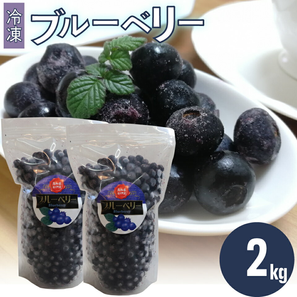 <ブルーベリー(冷凍) 2kg>高知県 佐川町 果物 フルーツ 国産 【冷凍】冷凍ブルーベリー 常備果物 大容量 <発送まで最大で4~6ヶ月程度お待たせする事があります(申込状況により遅れる場合があります)>