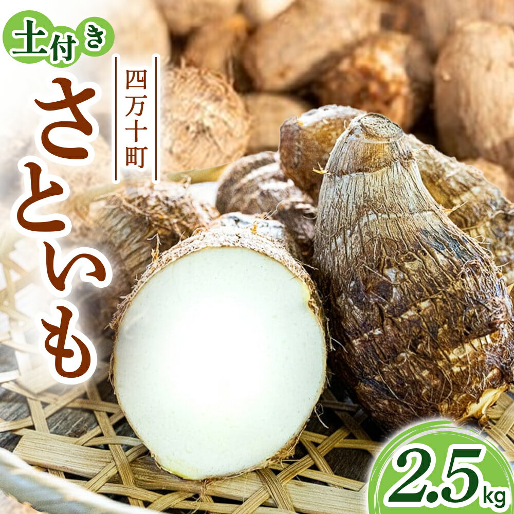 【四万十町産】 土付き さといも (2.5kg)Fiz-A03 農産物 新鮮 里芋 里いも 野菜