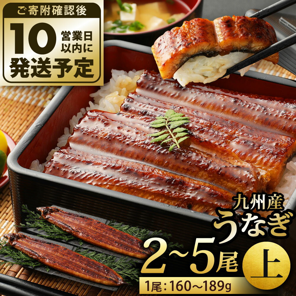 九州産 うなぎ 蒲焼 上(1尾あたり160〜189g) 2尾/3尾/4尾/5尾 特製たれ・山椒付き 鰻 ウナギ 蒲焼き 大きい 冷凍 国産 送料無料 鹿児島、宮崎、熊本等産うなぎ原料使用