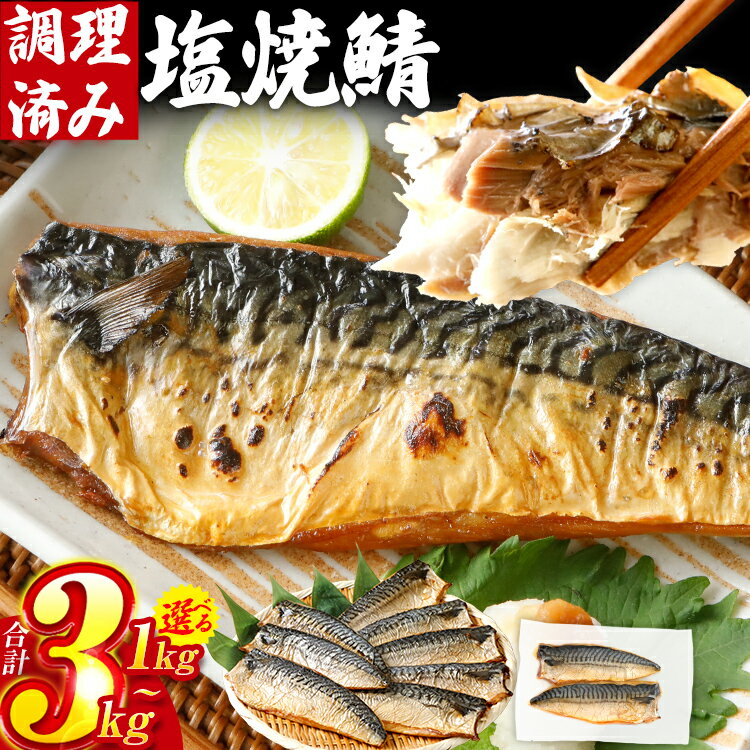 【レビューキャンペーン】さば 鯖 塩サバ 塩焼鯖 約1kg~3kg 選べる容量 大ぶり 魚 海産物 魚介 海鮮 惣菜 和食 レンチン 調理済 調理済み 温めるだけ 脂のり 晩御飯 おかず ジューシー 冷凍 お弁当 レンジ調理 サバ 自社製造 CP2509HM