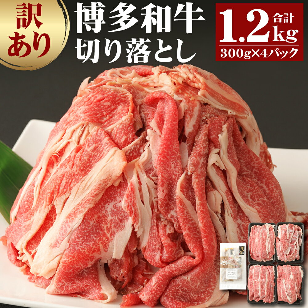 訳あり 博多和牛 切り落とし 300g×4パック 合計1.2kg 博多和牛の黄金カレー 1食付き セット 14000円 1万4000円 博多和牛 牛肉 お肉 カレー 福岡県産 九州産 国産 冷凍 送料無料