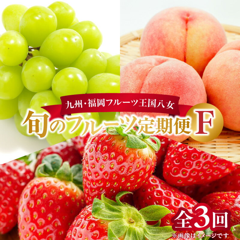 九州・福岡フルーツ王国八女 お楽しみ旬のフルーツ定期便【全3回】 F あまおう 苺 いちご イチゴ シャインマスカット ぶどう もも 桃 モモ 果物 くだもの フルーツ 定期便 デザート 旬 もぎたて 直送 福岡 八女市