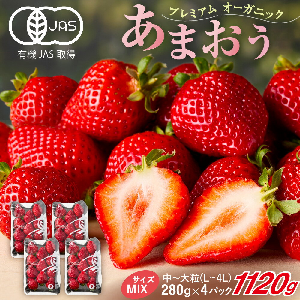 オーガニックあまおう 「いせいちご」 おまかせ4パック(MIX)【伊世いちご畑】_HA1018 送料無料苺 イチゴ フルーツ 化学農薬不使用 化学肥料不使用 冷蔵 ご褒美 おやつ 朝食 デザート