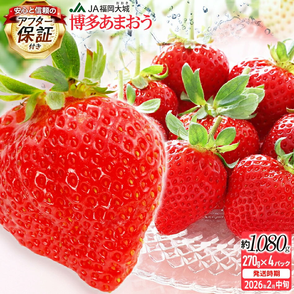 【アフター保証】博多あまおう 福岡県JAグループのブランド あまおういちご 1080g(約270g×4パック)JA福岡大城【2026年2月中旬から順次発送】AG010