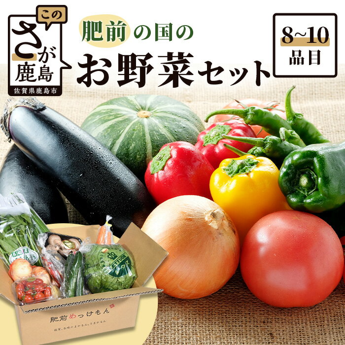 【野菜ソムリエ選定】【お届け曜日・時間帯指定可能】肥前の国のお野菜詰め合わせ セット 8〜10品目 (定番野菜8品目程度、季節野菜2品目程度) 野菜 詰め合わせ 佐賀県 鹿島市 佐賀 グルメ 冷蔵 旬 送料無料 A-4