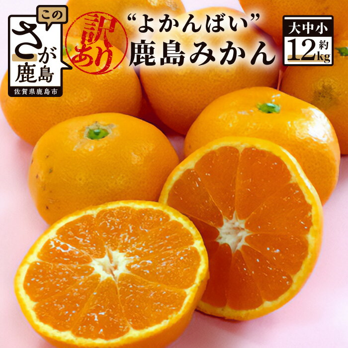 【訳あり】【数量限定】よかんばい 鹿島産 みかん 12kg 大中小 サイズ別 【11月中旬より順次配送予定】 ふるさと納税 みかん 蜜柑 柑橘 果物 フルーツ 果実 国産 佐賀県 鹿島市 ふるさと 人気 送料無料 B-250
