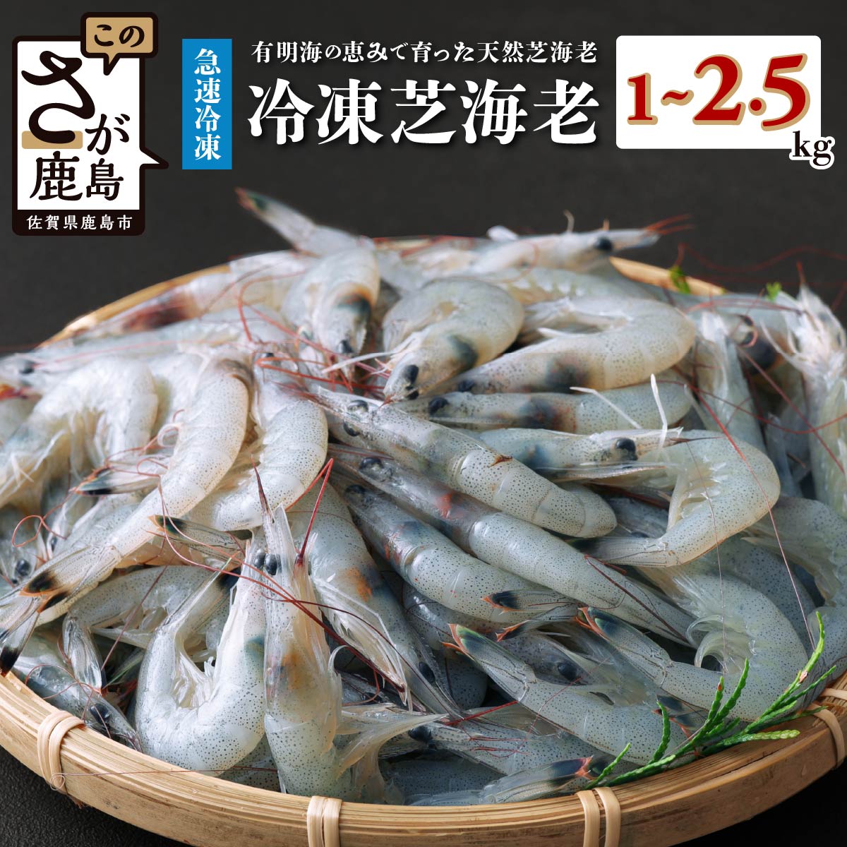 高評価★4.73 有明海産 芝エビ 真エビ 1kg (500g×2パック) or 2.5kg (500g×5パック) | ふるさと納税 えび 海老 芝海老 冷凍えび 冷凍 国産 海鮮 緊急支援品 有明海産 佐賀県 鹿島市 ふるさと 人気 送料無料 B-357