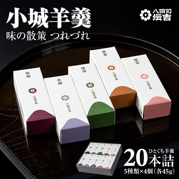 八頭司 伝吉 味の散策 小城羊羹 つれづれ(贈答用 20本詰) 羊羹 ようかん ギフト 父の日 母の日 敬老の日 煉羊羹 羊かん 和菓子 詰め合わせ ミニサイズ 一口サイズ お茶 スポーツ スイーツ 送料無料 【B120-72】