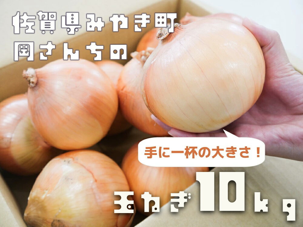 佐賀県みやき町岡さんちのたまねぎ10kg 「2L、3Lサイズ」(BE031)