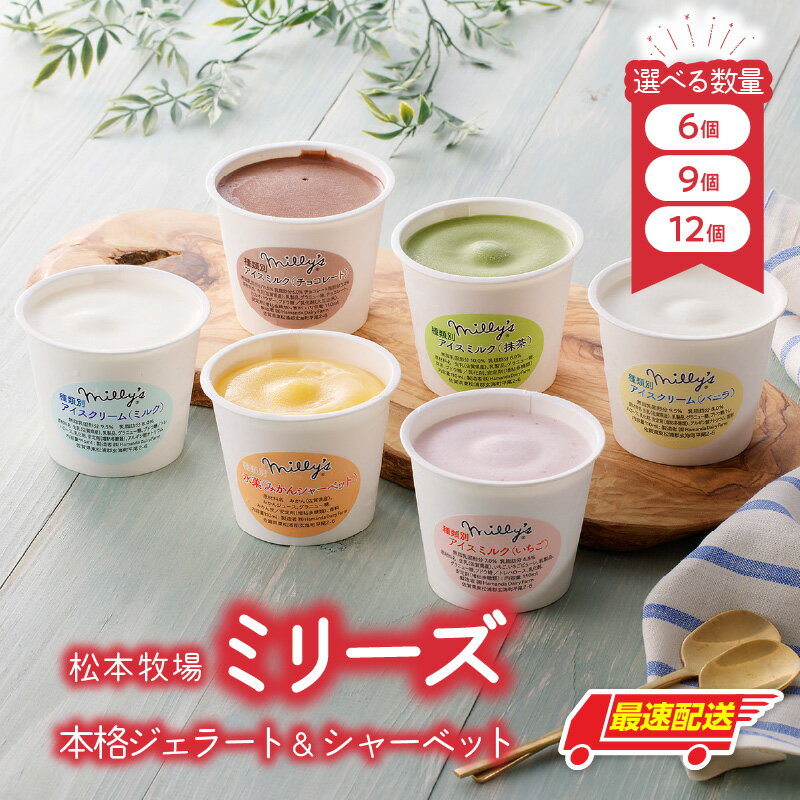 【数量選べる】松本牧場ミリーズ 6個 or 9個 or 12個 〜本格ジェラート&シャーベット / ジェラート シャーベット アイスクリーム スイーツ デザート いちご ミルク 抹茶 バニラ チョコ みかん 食べ比べ 佐賀県 玄海町 \レビューキャンペーン実施中/