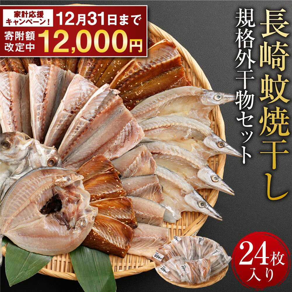 【期間限定!~12月31日まで寄附額改定中】長崎蚊焼干し 計24枚 入り 規格外 干物 セット | 訳あり ワケアリ サイズ 不揃い 小さめ あじ さば かます ひらあじ ご飯のお供 魚介 海の幸 蚊焼干し 秘伝のねかせダレ 長崎市 12000円 1万2000円