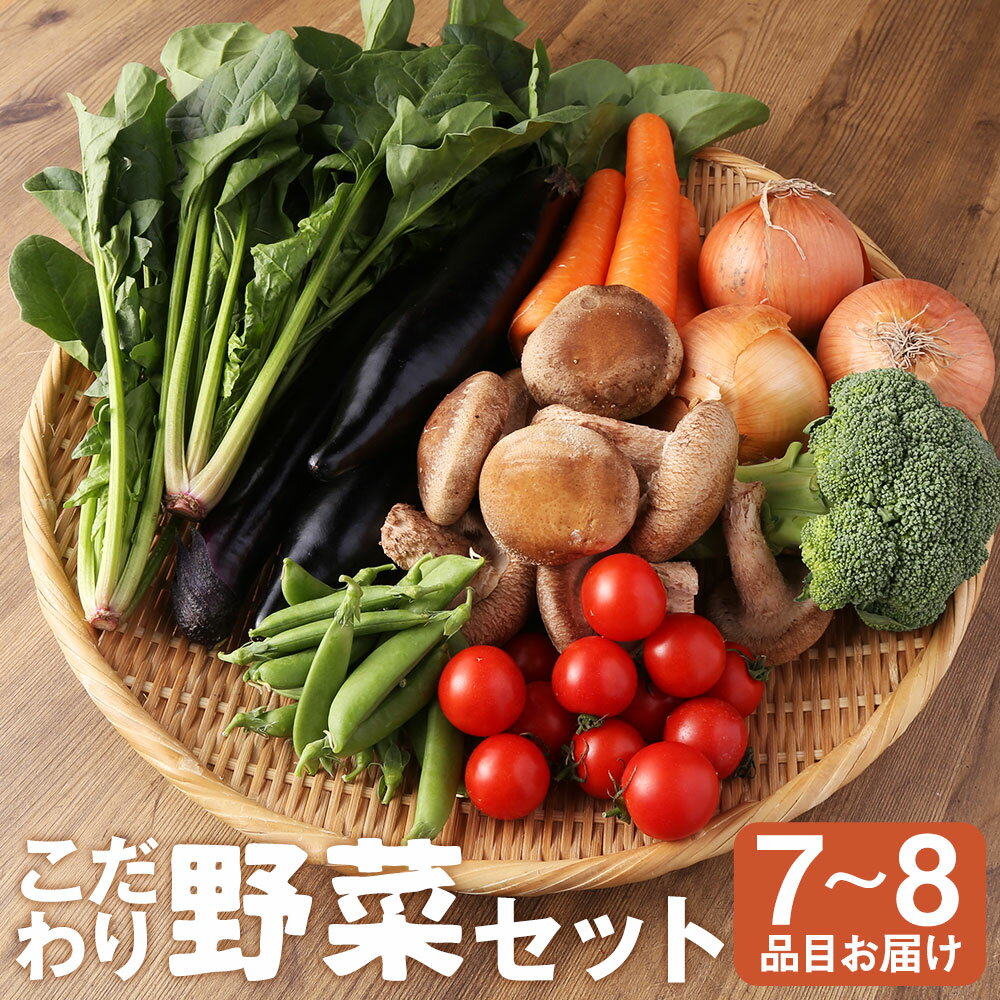 野菜のプロ40年が届けるこだわり野菜セット! 7~8品目 詰め合わせ 【2026年1月上旬より順次発送予定】 セット 野菜 おまかせ 新鮮 長崎県産 時津町産 九州産 国産 冷蔵 クール便 春 旬 春野菜 送料無料