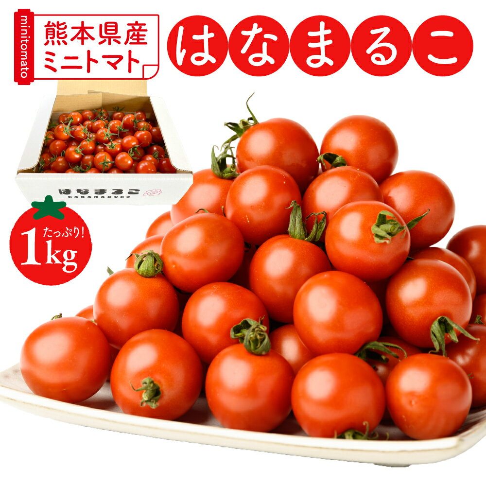 【先行予約】熊本県産 ミニトマト はなまるこ 1kg トマト とまと 野菜 産地直送 プチトマト リコピン 新鮮 青果物 農産物 サラダ パスタ カプレーゼ 八代市産 箱入り 冬トマト 旬 冬 春 特産品 まとめ買い 送料無料 【2025年12月中旬より順次発送】