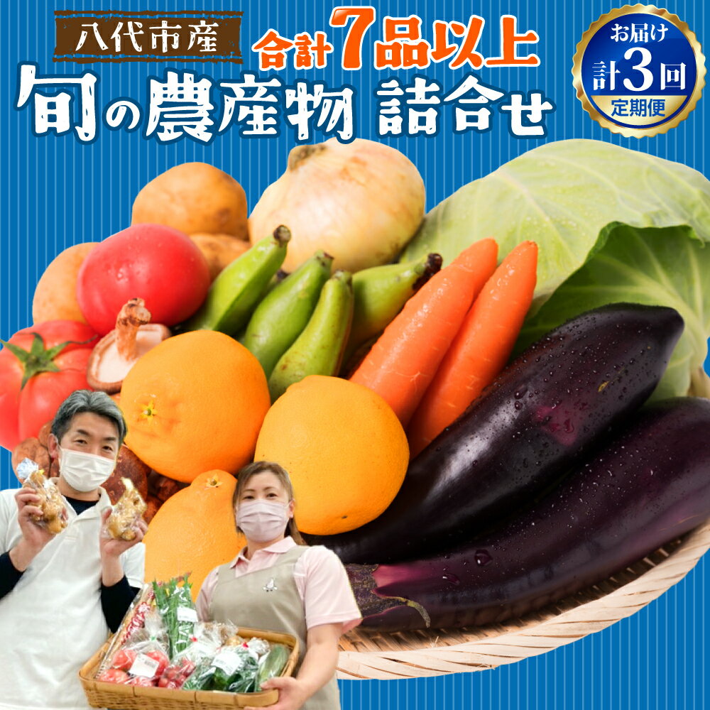【2ヶ月に1回お届け】【定期便3回】八代市産!旬の農産物詰合せ 復興 福袋 7品以上×3回 野菜 果実 果物 やさい くだもの フルーツ 合計7品目以上 セット 季節の野菜 季節の果実 春 夏 秋 冬 旬 おまかせ 定期 国産 八代市産 熊本県 送料無料