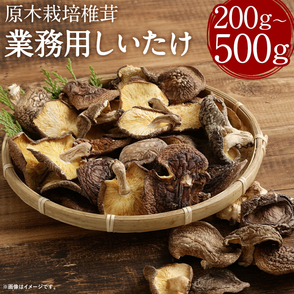 訳あり 原木栽培椎茸 業務用 椎茸 200g/500g 選べる内容量 8000円 〜 15000円 8千円 〜 1万5000円 しいたけ 干し椎茸 干ししいたけ 乾椎茸 きのこ ご家庭用 熊本県人吉産 九州 送料無料