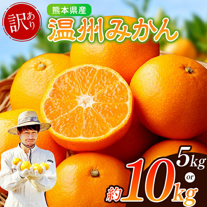 訳あり ノナカ柑橘農園 温州みかん 選べる 5kg or 10kg | 果物 くだもの フルーツ 柑橘 柑橘類 みか 温州家庭用 訳あり 熊本県 玉名市