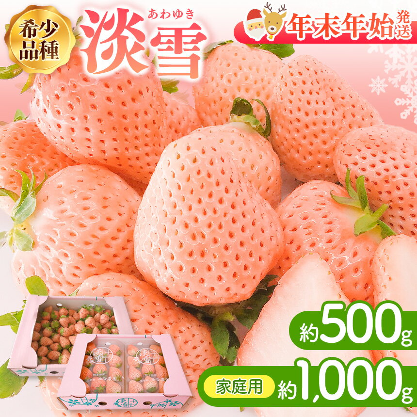 【 先行予約 】 【 年末年始発送 】ご家庭用 淡雪 約1000g or 淡雪 約500g | いちご 白いちご 淡雪 苺 イチゴ 年末年始発送 果物 フルーツ 産地直送 生産者直送 玉名 熊本 送料無料