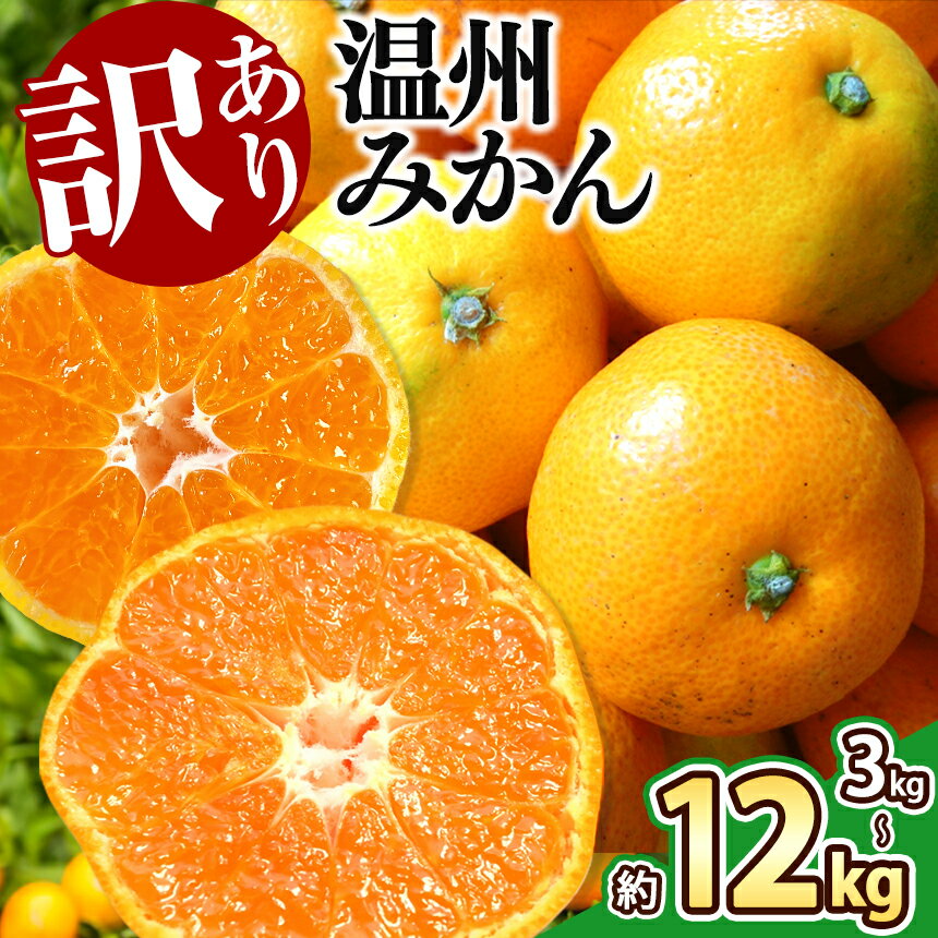 訳あり みかん 3kg 5kg 9kg 12kg 温州みかん 果物 フルーツ 大容量 家庭用 キズあり 大小混合 産地直送 生産者直送 旬 九州 熊本県 玉名市 送料無料