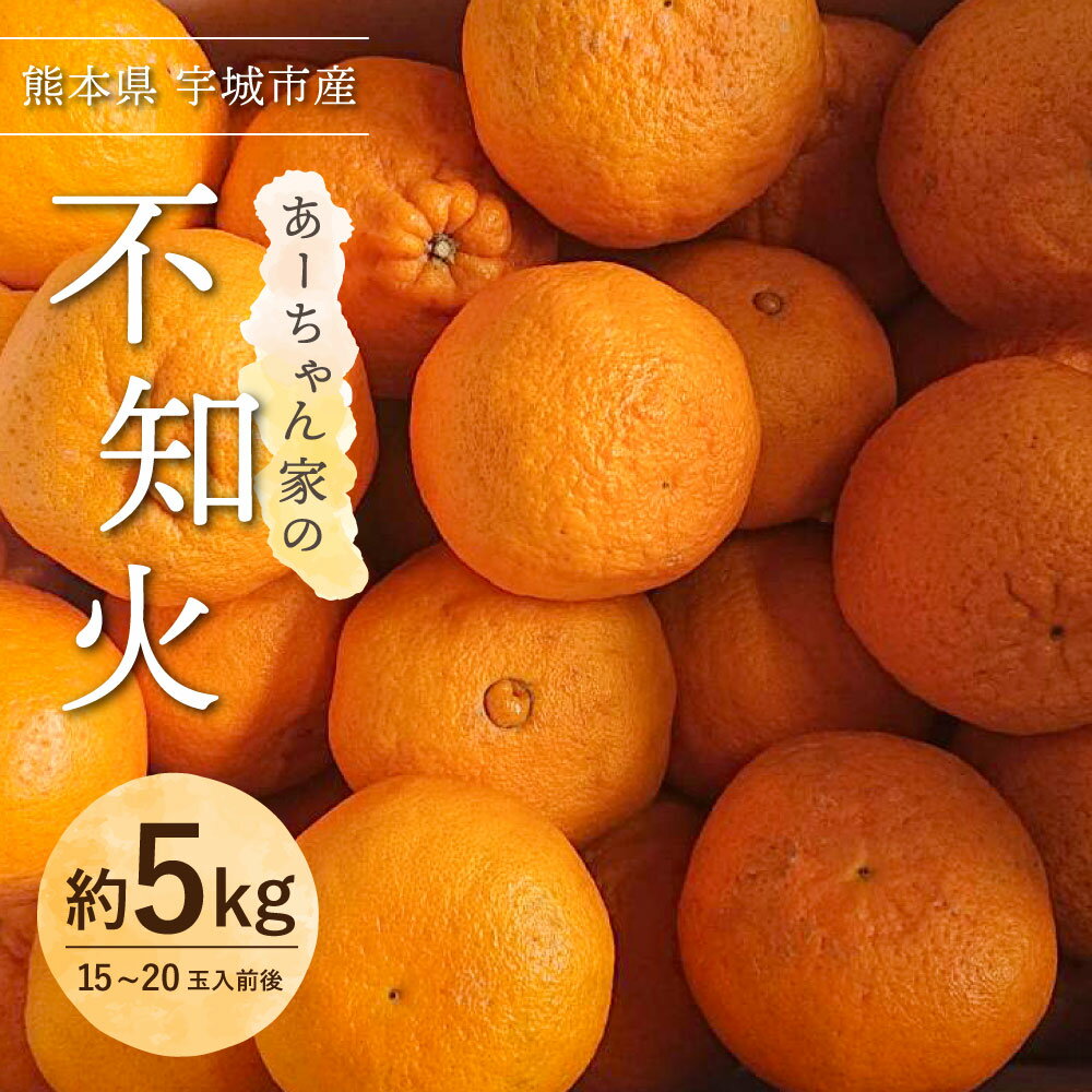【先行予約】 不知火 あーちゃん家の不知火 約5kg (15〜20玉前後) 【2026年4月上旬〜5月下旬発送予定】 しらぬい 柑橘 熊本県産 九州産 国産 宇城市産 早川果樹園